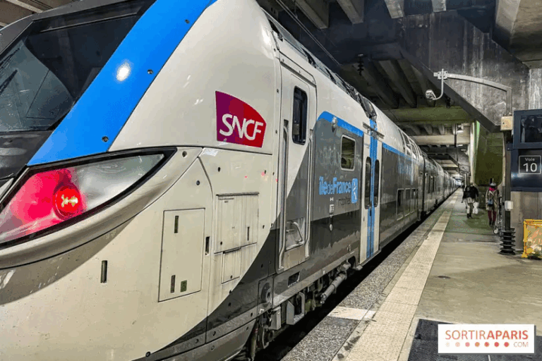 Agent digital IA émotionnelle pour optimisation des flux voyageurs